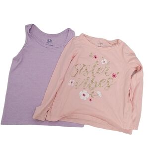 Girls Bundle of 2T and 3T Shirts
